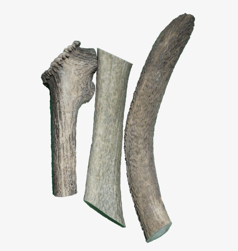 Wood, transparent png download