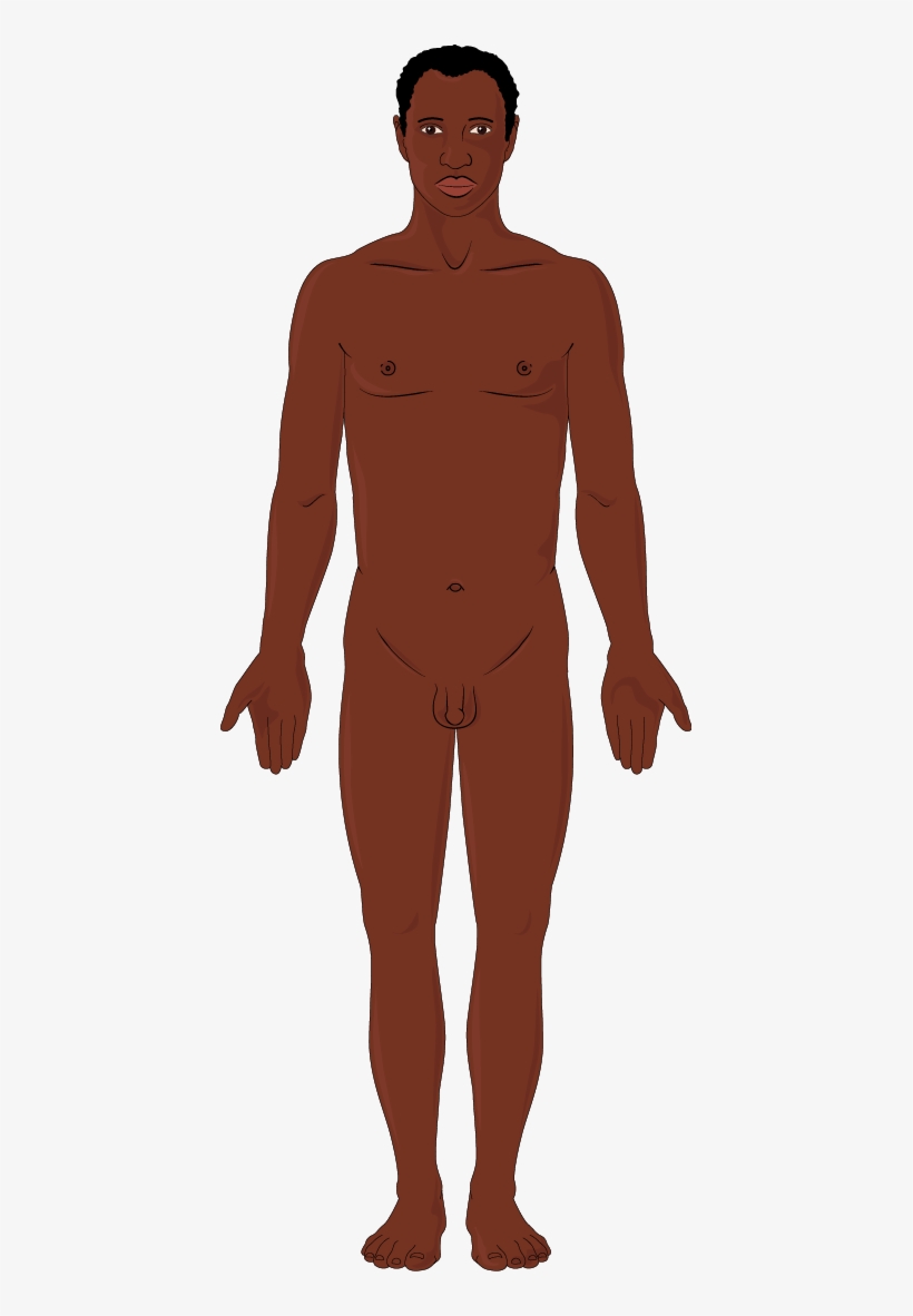 African Man - Illustration, transparent png download