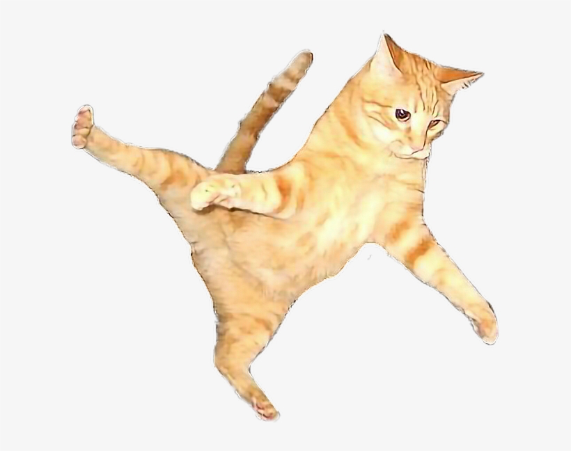 Cat Flying Flyingcat Orangecat Orange Color Play Image - Kitten Jumping Transparent Background, transparent png download