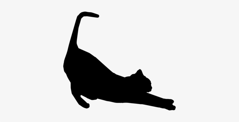 Stretching, Cat, Feline, Animal, Pet - Cat Silhouette, transparent png download