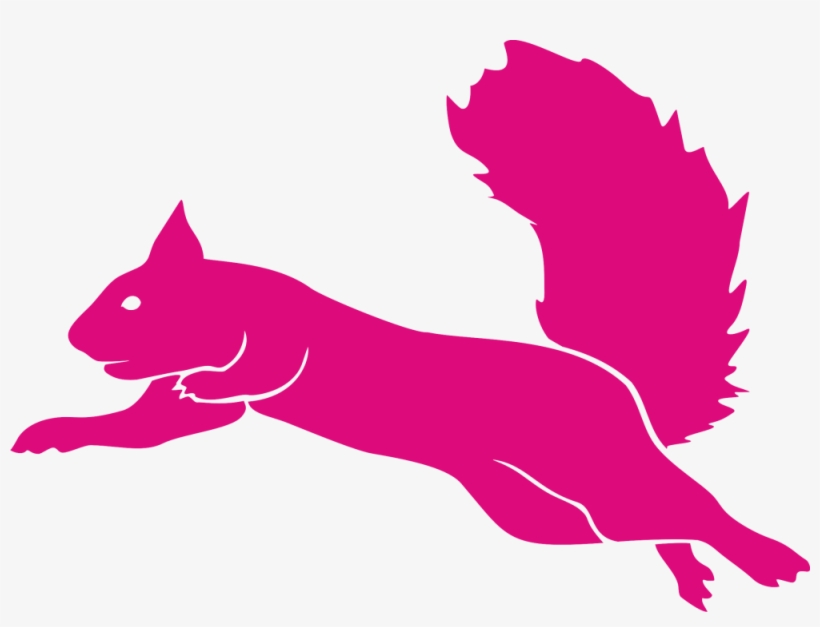 Only - Flying Squirrel Trampoline Logo, transparent png download