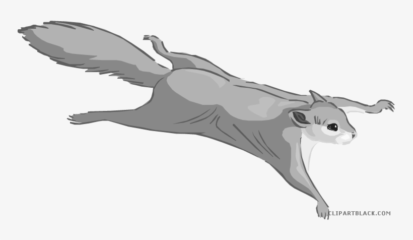 Flying Squirrel Png - Flying Squirrel Clip Art, transparent png download