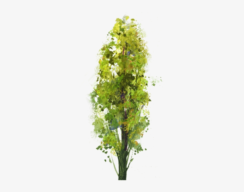 Tree, transparent png download