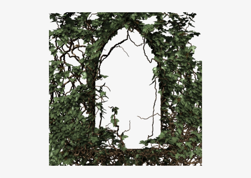 Fractal Clipart Creeper - Ivy Arch Png, transparent png download