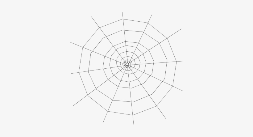 Spider Web - White Spider Webs Transparent Background, transparent png download
