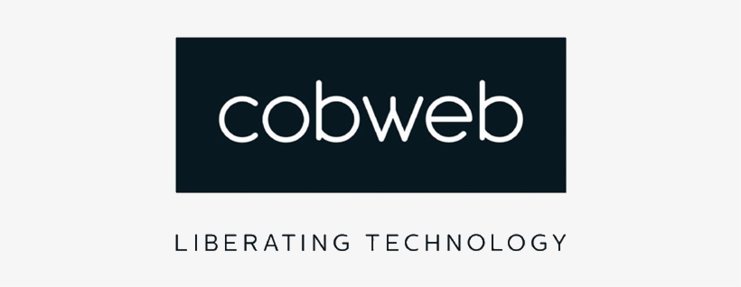 Tu Sei Qui - Cobweb, transparent png download