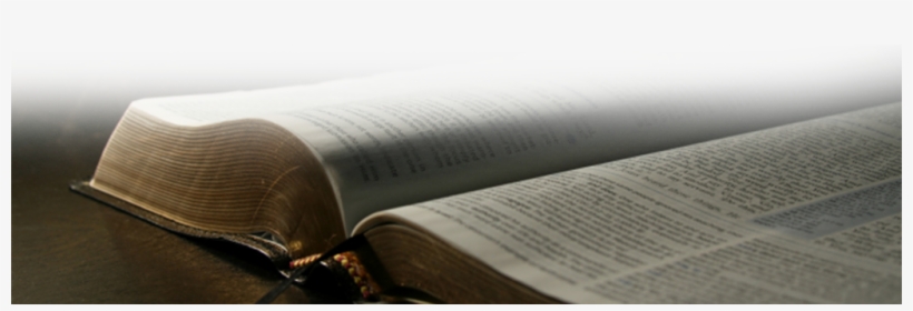 In Vain - Book, transparent png download
