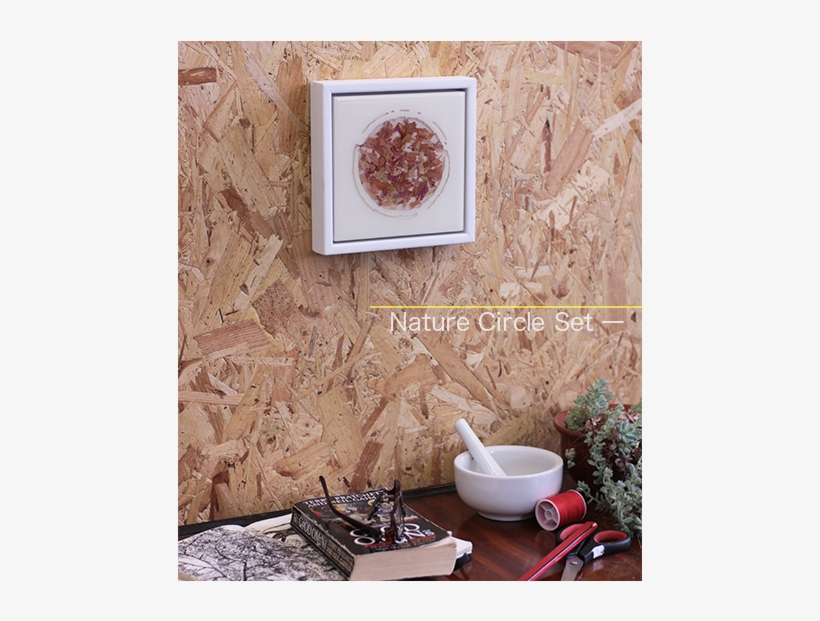 Nature Circle Set 1 Side Home Japanese Maple Gillies - Art, transparent png download