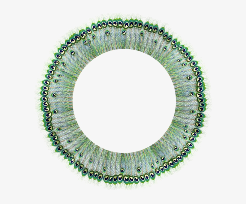 Round Frame, Peacock, Clip Art, Frames, Peafowl, Peacocks, - Transparent Circle Frame Png, transparent png download