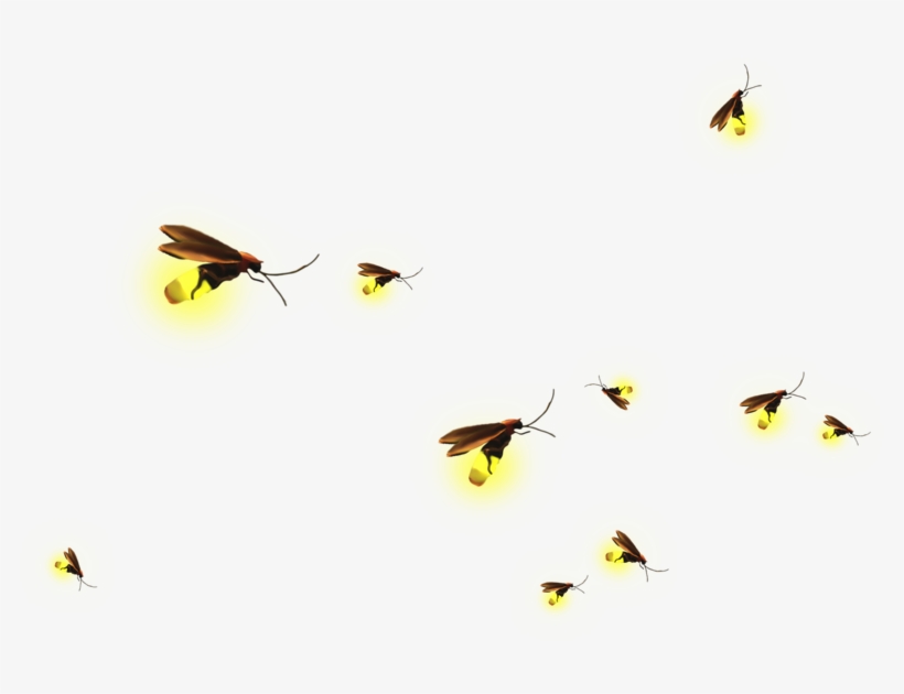 Clip Art Material Transprent Png Free Download - Fireflies Png, transparent png download