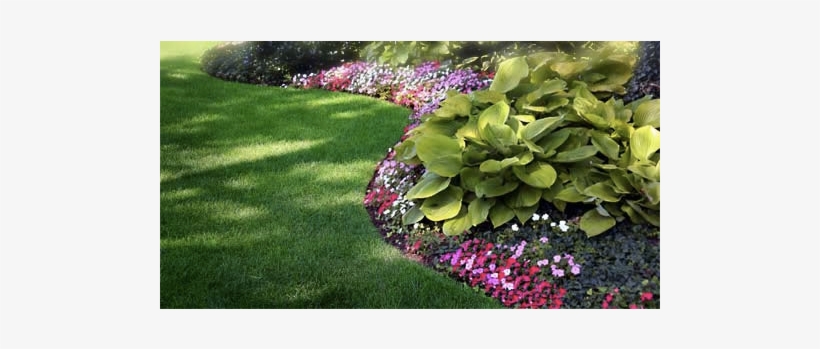 Flower Bed Ideas - Edge Of Flower Bed, transparent png download