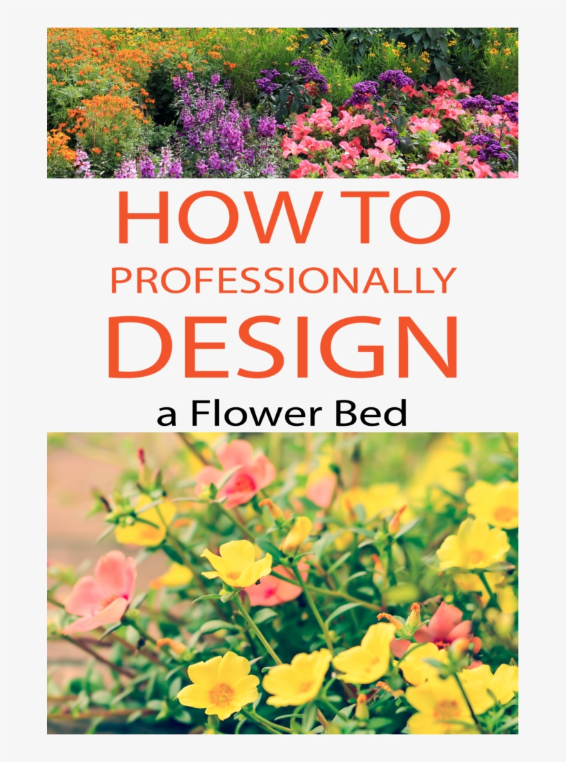 Learn How To Design Your Flower Bed Professionally - Flower, transparent png download