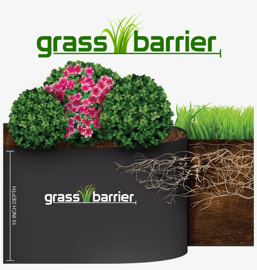 Grass - Terrace Board Edging Stakes, transparent png download