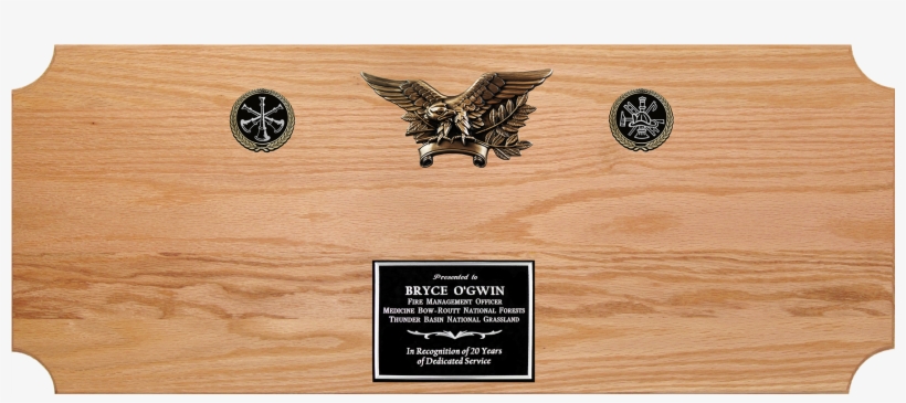Oak Large Plaque No Axe Final No Brackets Png Presentation - Plywood, transparent png download