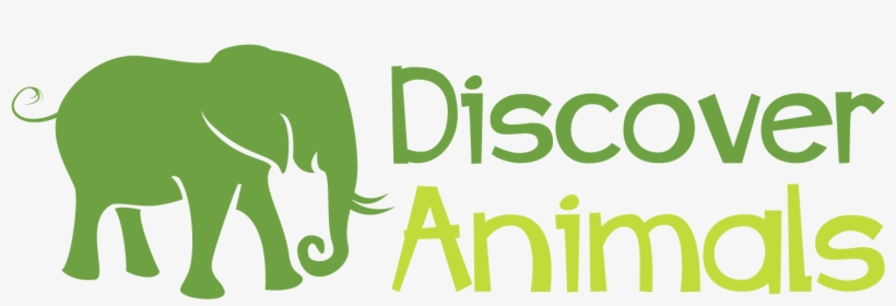 Discover Animals - Discover Animals Logo, transparent png download