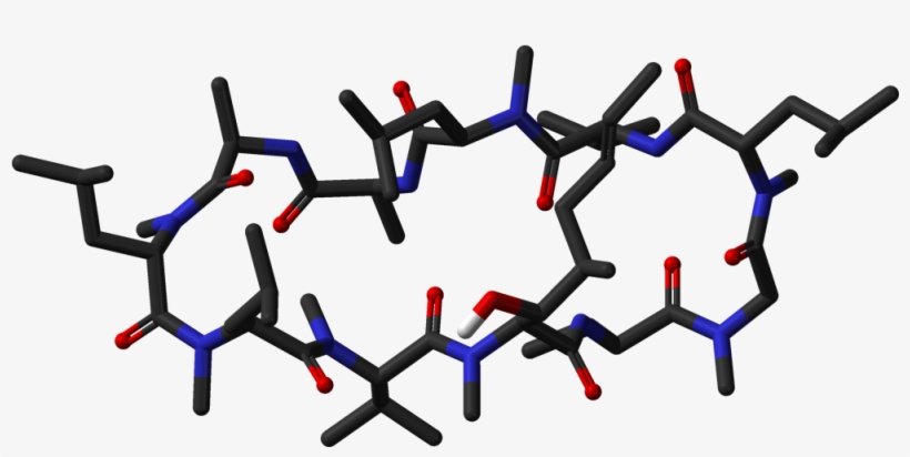Ciclosporin A Neutron 3d Sticks - Cyclosporin A 3d, transparent png download