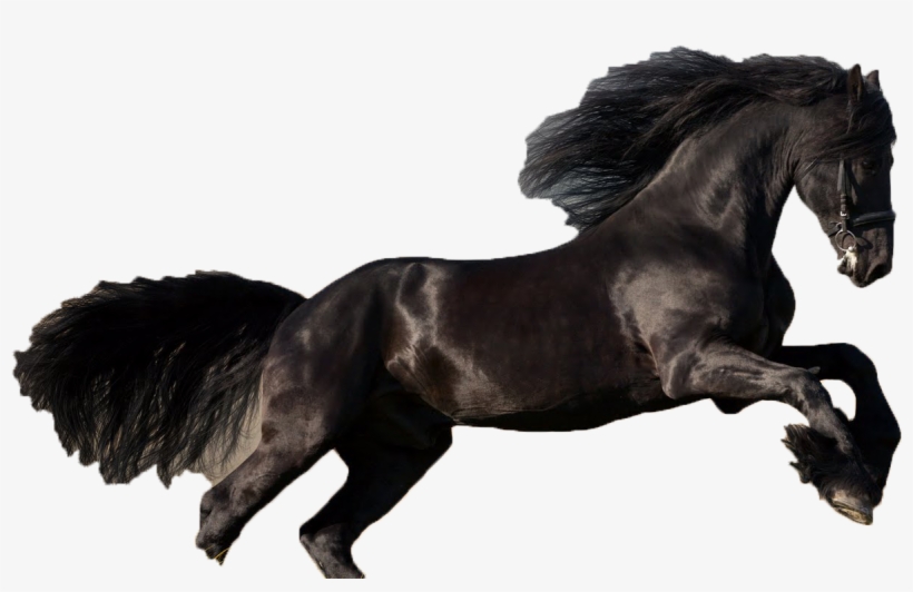 Personaje Caballo Desbocado - Arab Horse, transparent png download