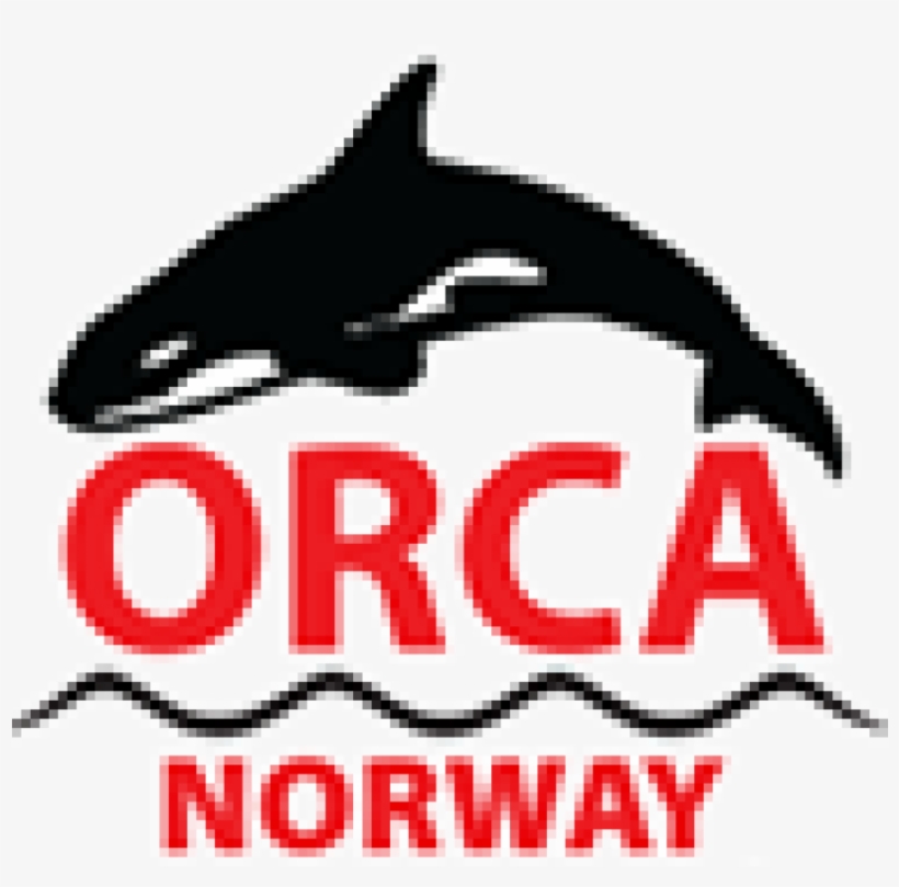Orca Norway - Killer Whale, transparent png download
