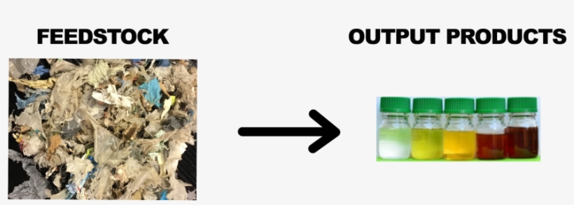 Most Of The Things We Buy, Like Food And Cosmetics, - Sabc 1, transparent png download