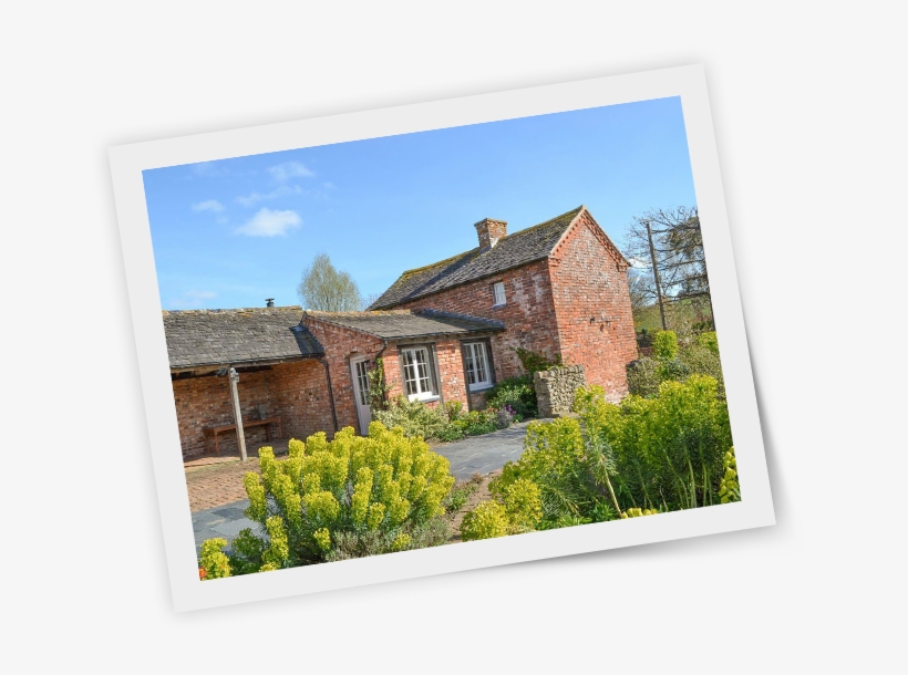 Picture Frame, transparent png download