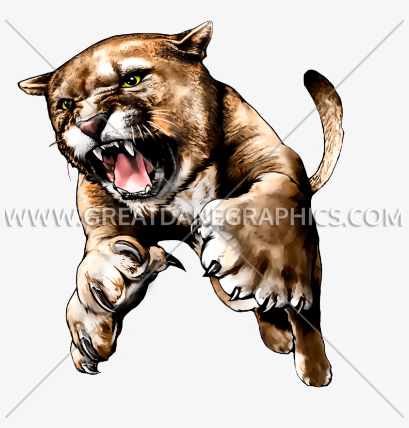 Cougar Png - Siberian Tiger, transparent png download