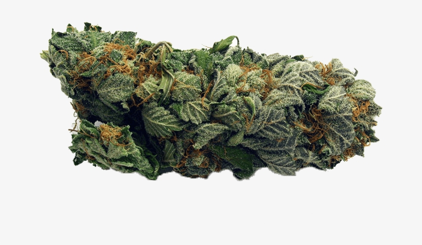 Marijuana Order Online - Got Bud, transparent png download
