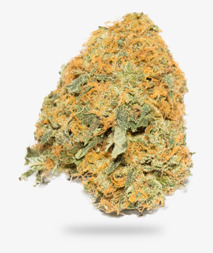 God Bud - Igneous Rock, transparent png download