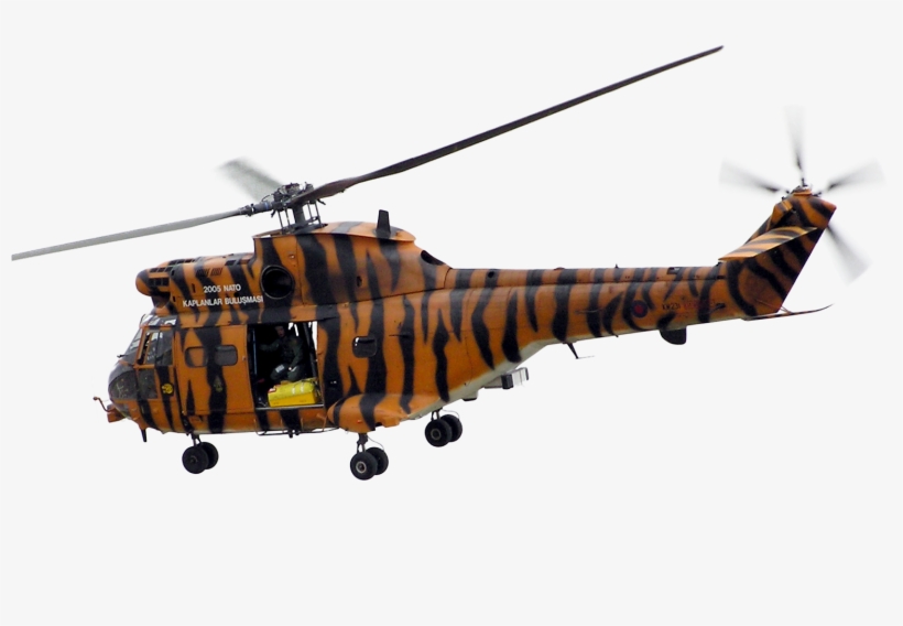 Puma - Puma Hc1, transparent png download