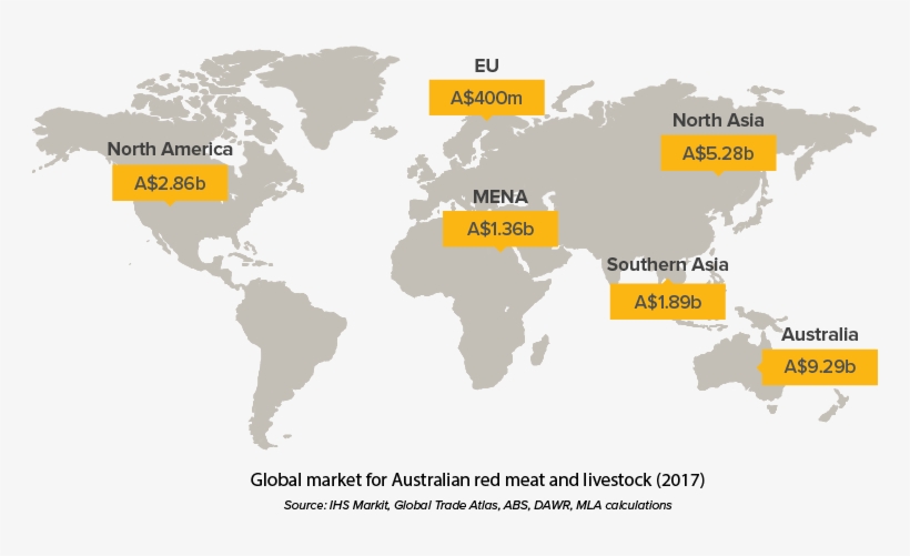 Growing Demand For Red Meat In Over 100 Global Markets Map Of The World Without Countries Png Image Transparent Png Free Download On Seekpng Growing Demand For Red Meat In Over 100 Global Markets Map Of The World Without Countries Png Image Transparent Png Free Download On Seekpng