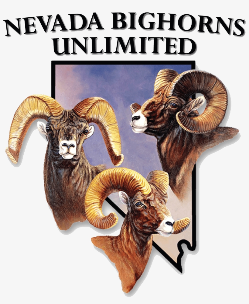 About The Initiative - Nevada Bighorns Unlimited, transparent png download