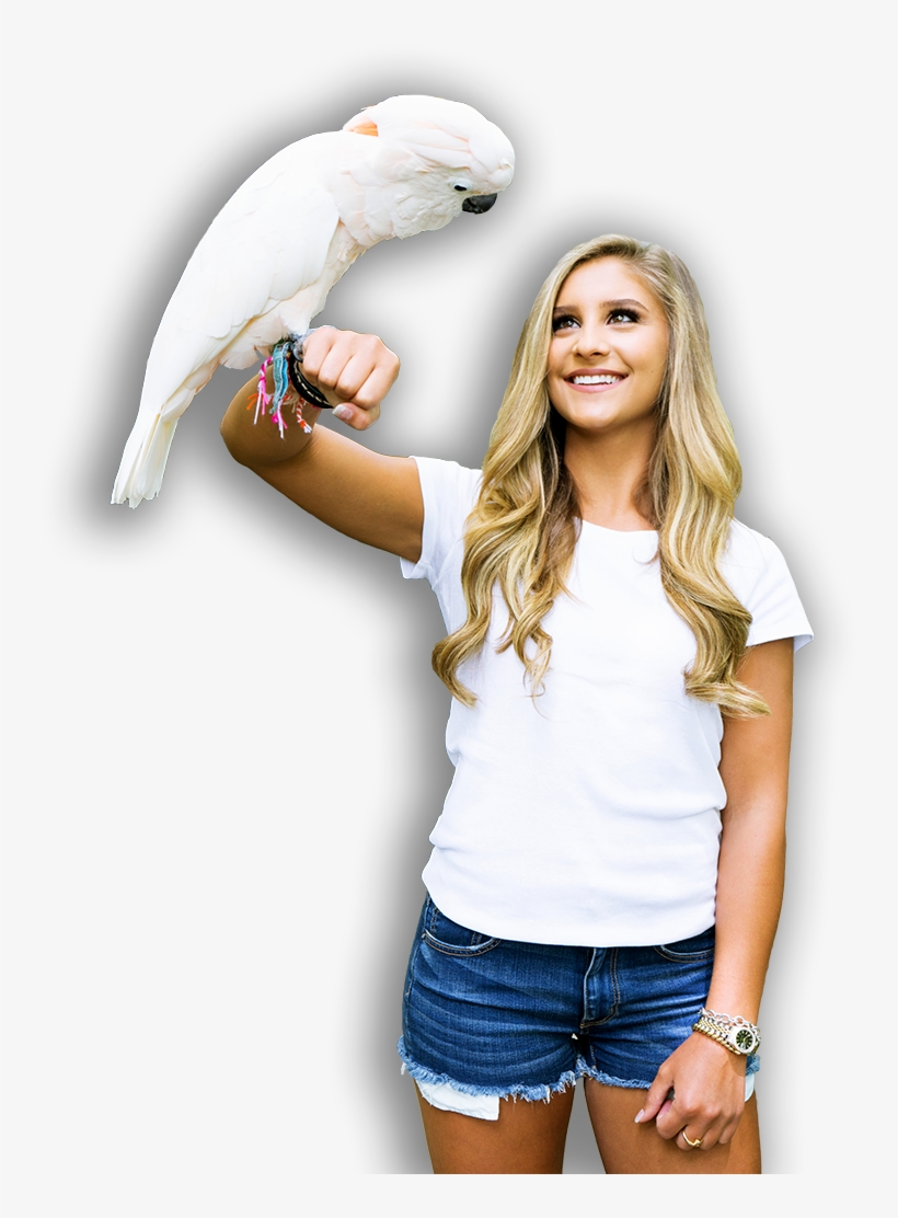 Follow The Rainbow To Parrot Mountain 2019 Opening - Girl, transparent png download