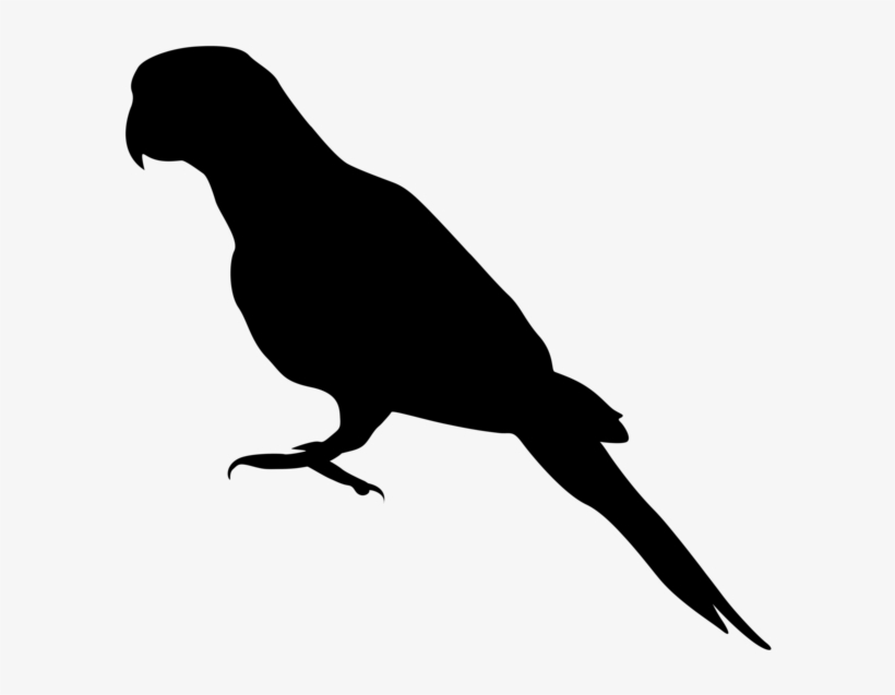Parrot Png Silhouette Clip Art Image Gallery - Endangered Species Silhouette, transparent png download