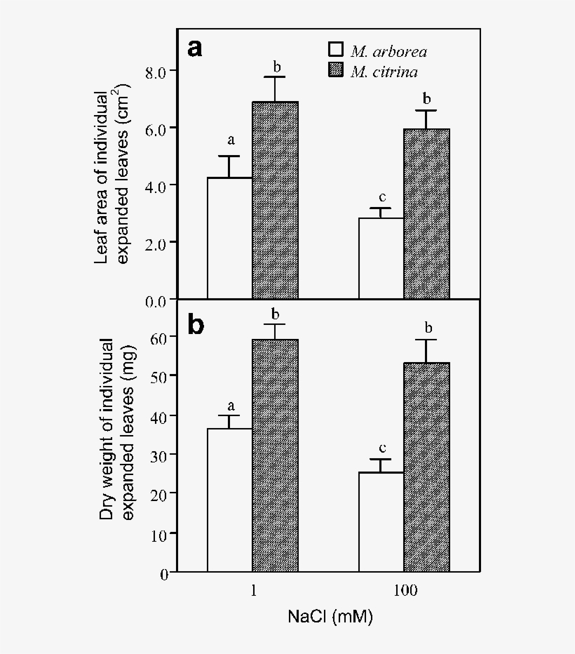 Leaf Area And Leaf Dry Weight (b) Of Individual Expanded - Diagram, transparent png download