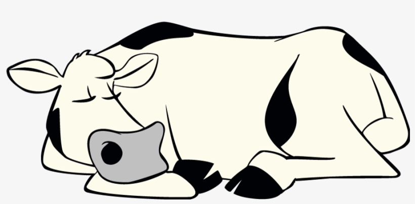 Sleeping Cow Png, transparent png download