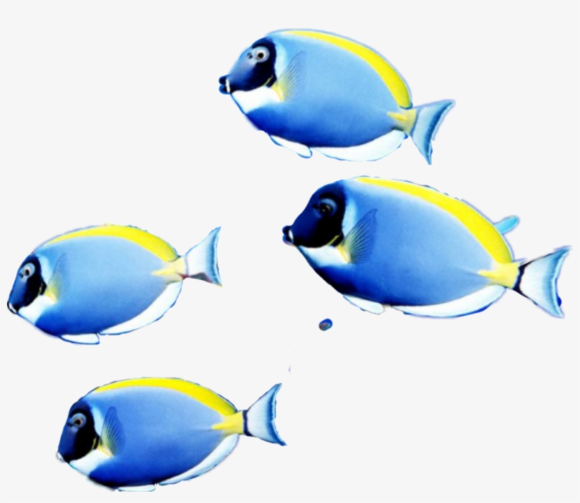 #picsartstickers I Just Made This School Of Fish Sticker - Coral Reef Fish, transparent png download