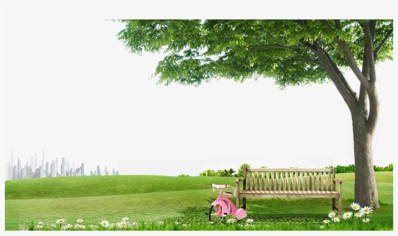 Tree Chair Grass Material Transprent Png Lawn - Tree Background With Grass, transparent png download