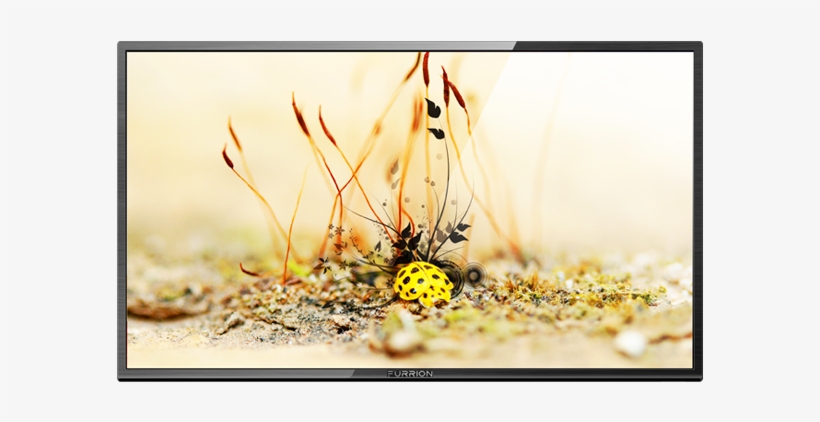 39" Led Hd Tv - Furrion - 39" Led Tv, transparent png download