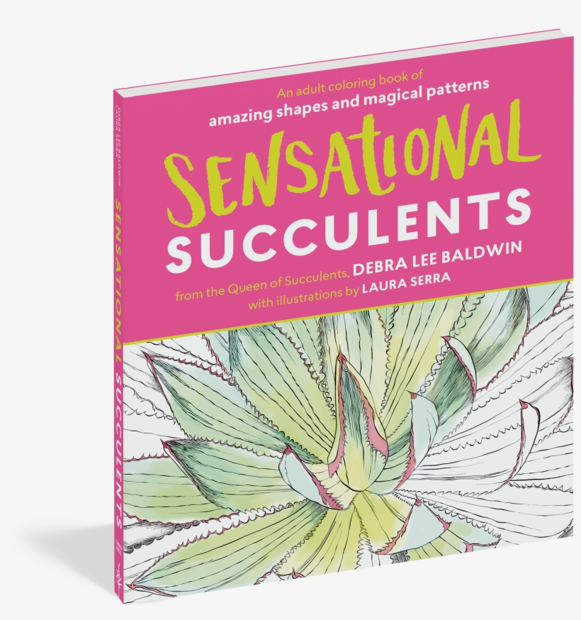 View Full Size Image - Book Cover, transparent png download