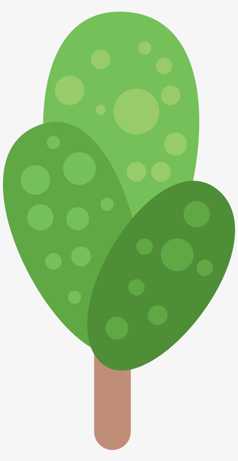 Hand Painted Cactus Transprent, transparent png download