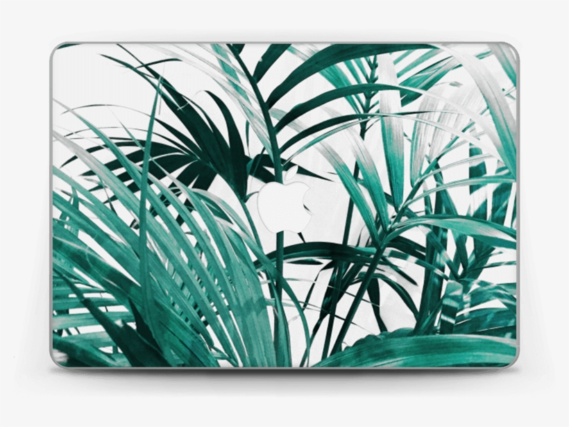 Green Leaves - Coque Macbook Air 13 Tropical, transparent png download