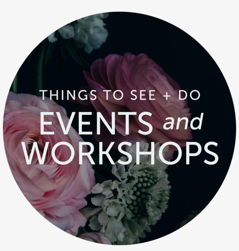 Events And Workshops - Garden Roses, transparent png download