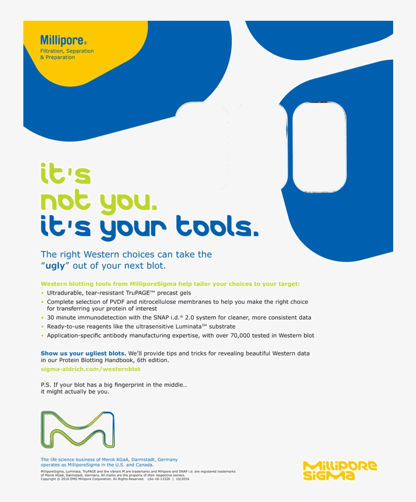 Back Issues - Millipore Sigma, transparent png download