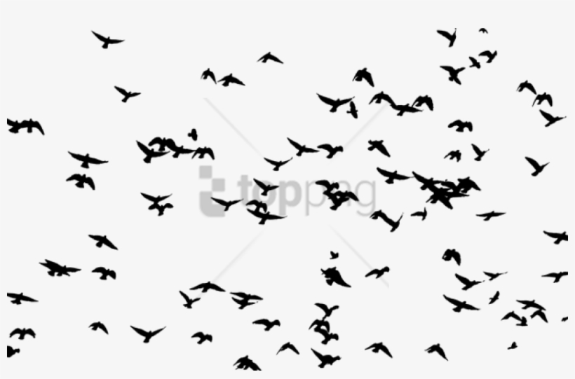 Free Png Flock Of Birds Silhouette Png Image With Transparent - Flock Of Birds Png, transparent png download