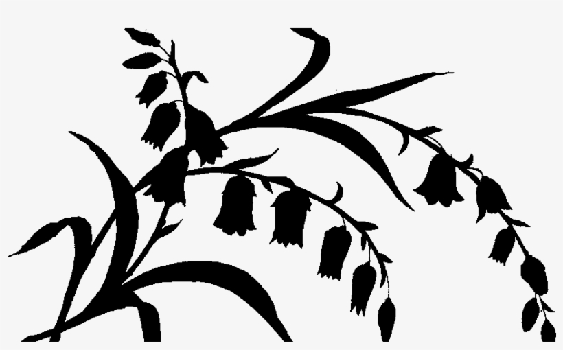 Zoom Diseño Y Fotografia - Silhouette, transparent png download