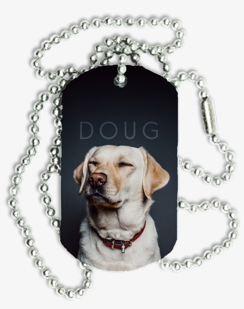 S259330316920728094 P23 I3 W1586 - Quotes For People Who Hate Dogs, transparent png download