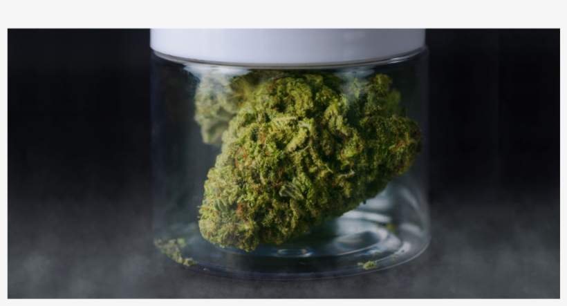 Space Weed Cannabis - Pesto, transparent png download