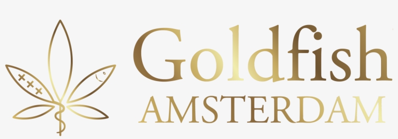 Goldfish Amsterdam - Officine Generale, transparent png download
