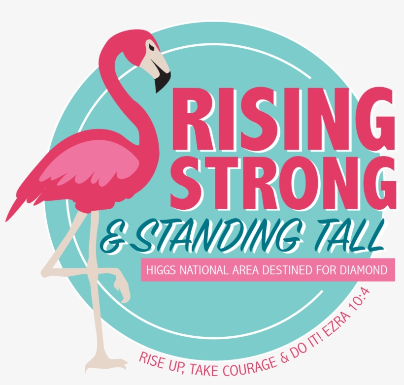 Pamela Higgs - Water Bird, transparent png download