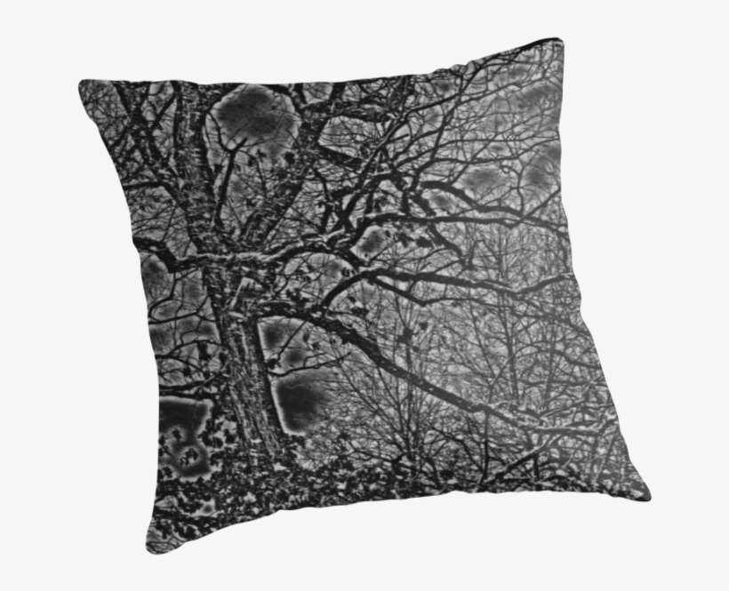 Black White And Gray Bare Tree And Branches Nature - Cushion, transparent png download