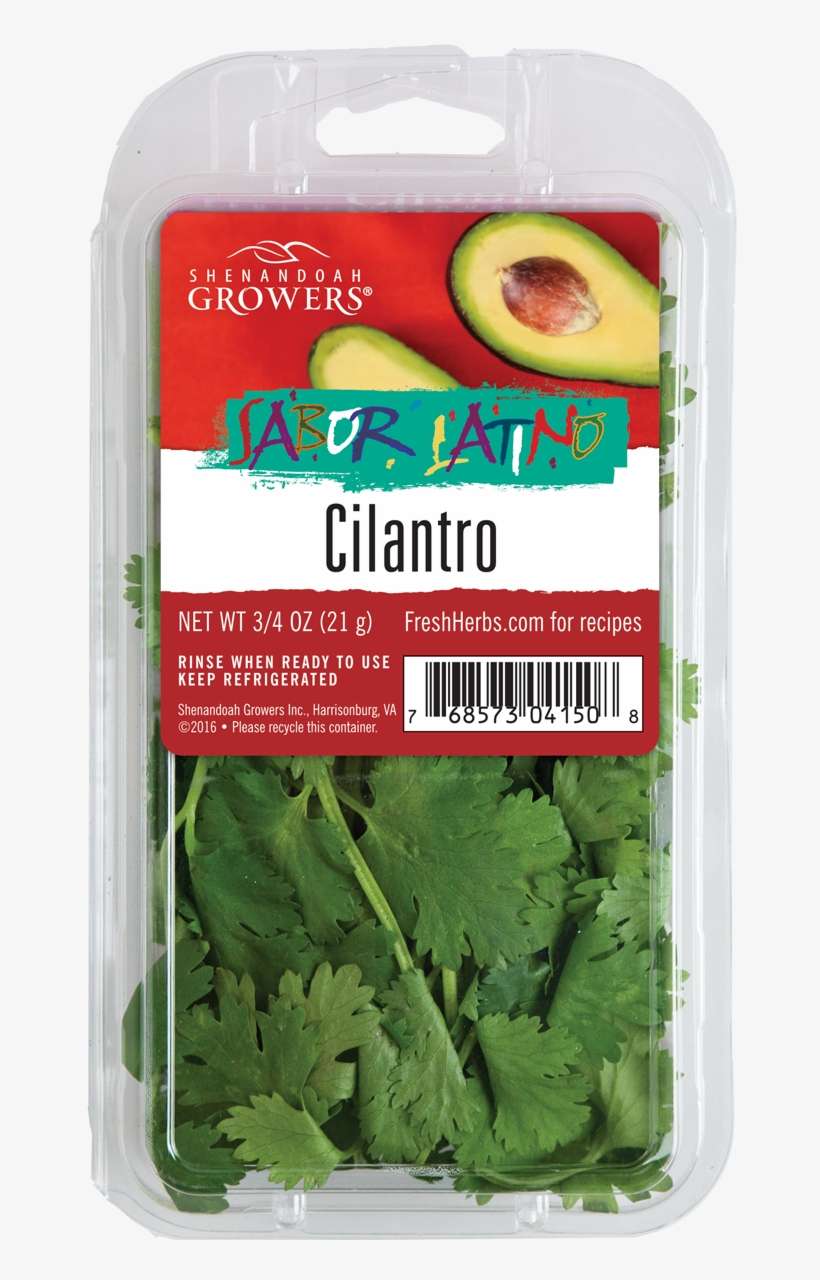 Cilantro Coriander PNG Image Transparent PNG Free Download on SeekPNG
